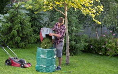 When to Begin Spring Lawn Care