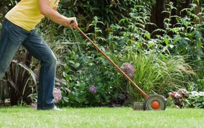 When is the Best Time to Aerate My Lawn?