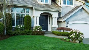 Shrub Care, 5 Tips for Shrub Care, All Turf Lawn Care, Atlanta GA