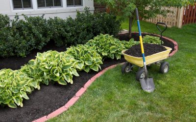 Weed Control for Flower Beds