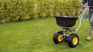 when to apply fall lawn fertilizer, fall lawn care, all turf lawn care, atlanta ga