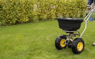 When To Apply Fall Lawn Fertilizer