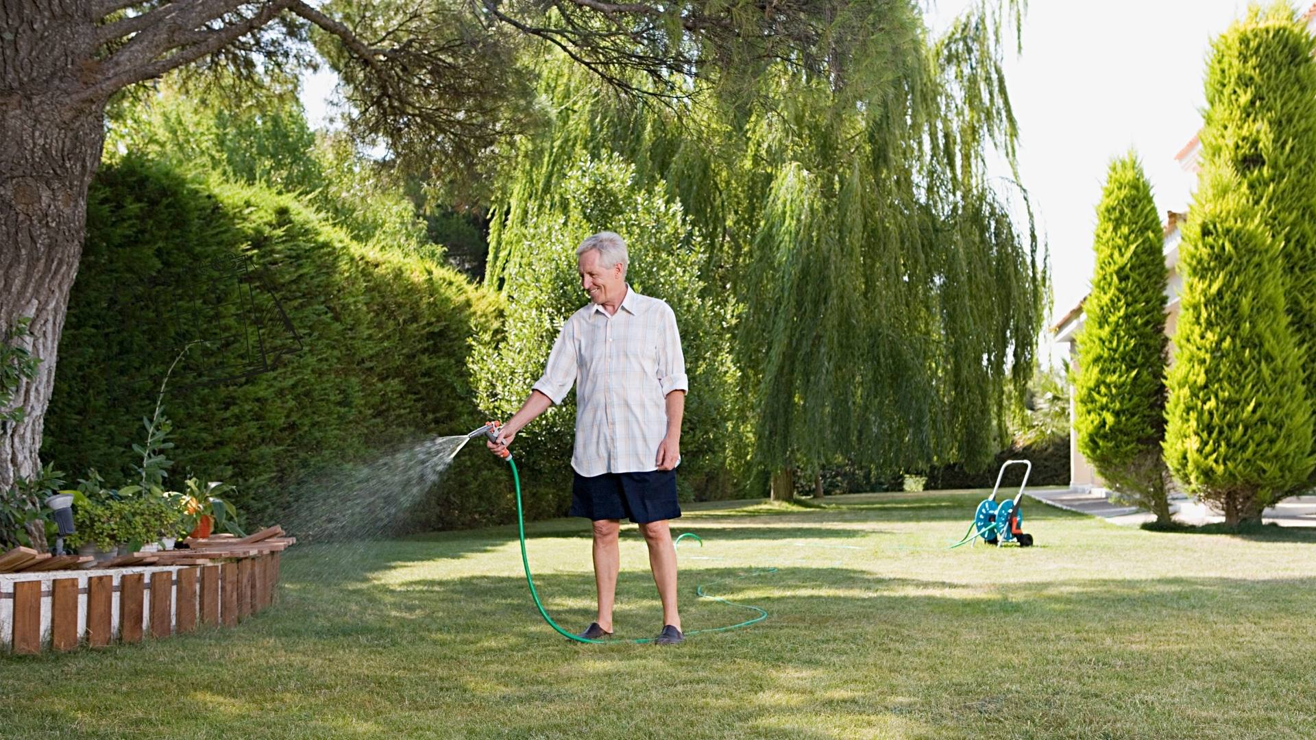 When to Seed Your Fescue Lawn All Turf Lawn Care