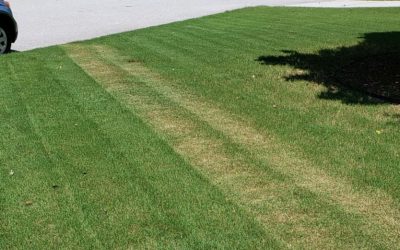 How to Avoid Mower Damage