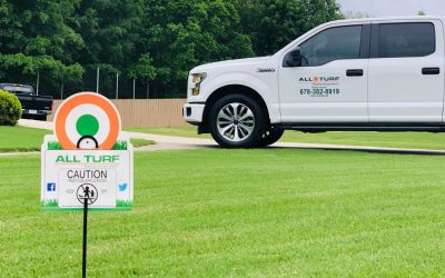 How To Choose A Lawn Care Company