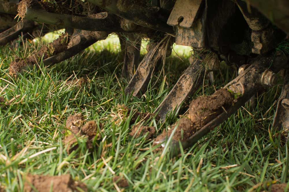 When Is the Best Time to Aerate Your Lawn in Atlanta?