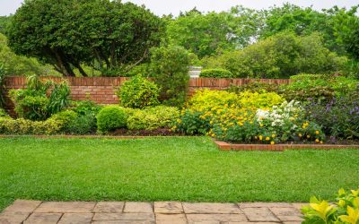 Keeping Ornamental Shrubs & Plants Healthy