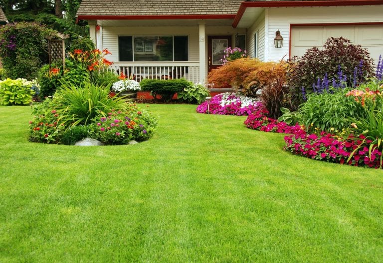 Lawn Care Services in Buford GA, buford lawn services, lawn care in buford ga