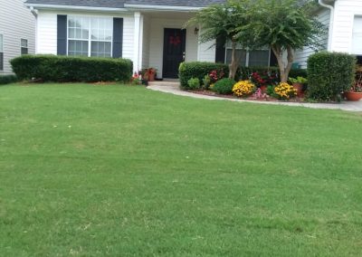 An immaculate carpet of emerald turf