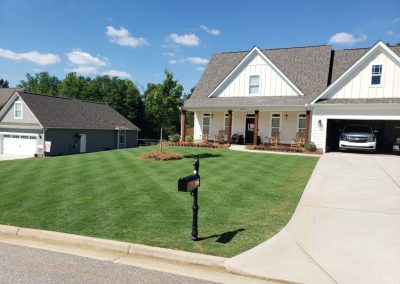 A pristine, vibrantly green sward