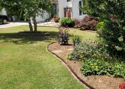 A flawlessly tended, velvety green tapestry