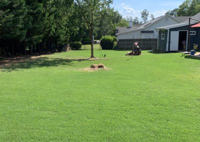 A thriving, perfectly coiffed grassy backyard