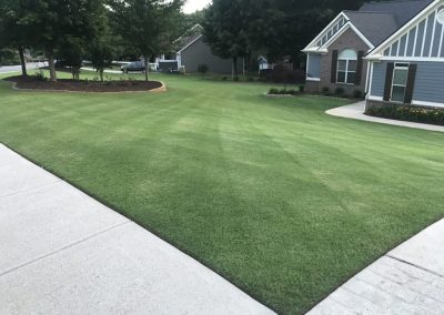 A traditional house hidden behind a big green yard and some trees.