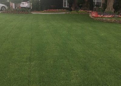 A perfectly trimmed green garden.