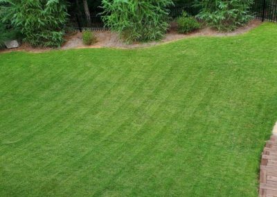 A green backyard showing signs recently left by a lawnmower.