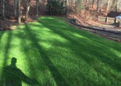 A beautiful, green garden in the middle of a wooded area.