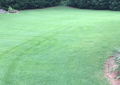 A field of green grass surrounded by trees.