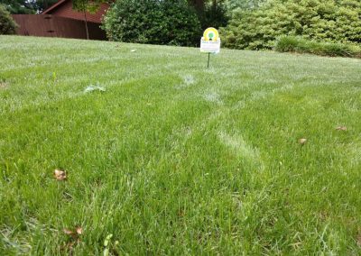 An All Turf sign in the middle of a grown lawn.