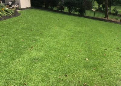 An area of green grass surrounded by a metal fence.