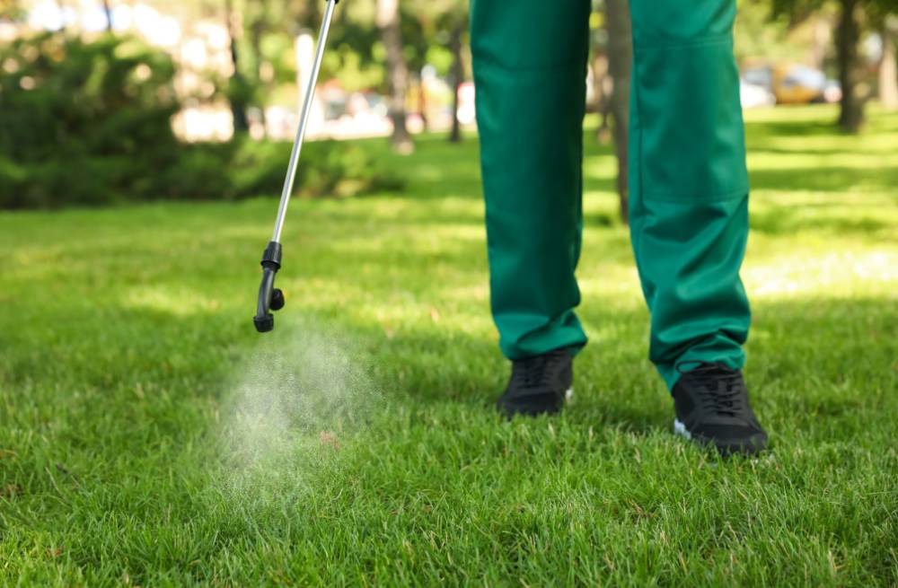 thicker lawn with growth regulators, all turf lawn care