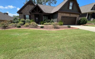 Why is my Atlanta Lawn Not Greening Up Yet?  