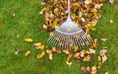 Fall Lawn Care Checklist for Atlanta Homeowners  