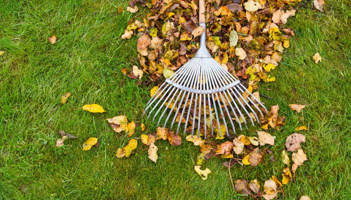 Fall Lawn Care Checklist for Atlanta Homeowners  