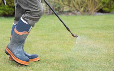 Pre-Emergent Weed Control: When and How to Apply