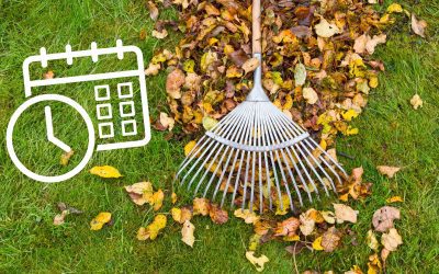 A Complete Atlanta Lawn Care Schedule